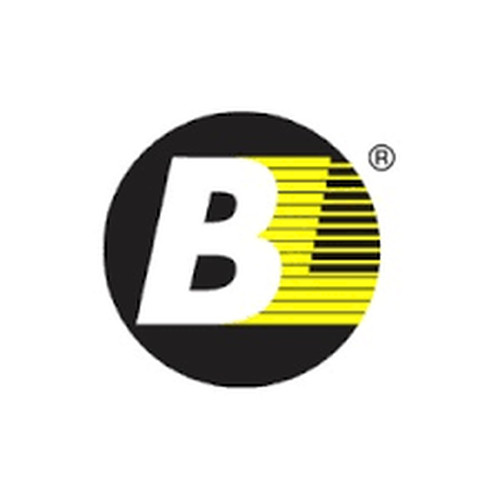 BEARINGS LIMITED (SOLVE INDUSTRIAL MOTION GROUP)