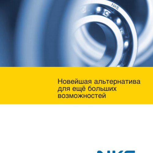 Общая информация о NKE