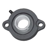 BLF1B