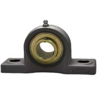 AMI BEARINGS UCPPL206-18MZ2B