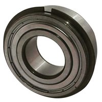CONSOLIDATED BEARING 6008-ZZNR P/6