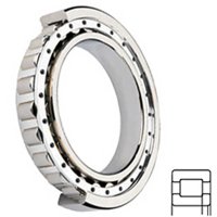 CONSOLIDATED BEARING NUP-2204E