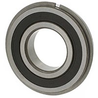 6207 2RSNR 6207 2RSNR