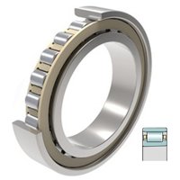 FAG N1010-C-K-TR-PVPA1-SP