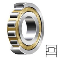 FAG NJ207E.M1