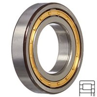 FAG NUP307-E-XL-M1-C3