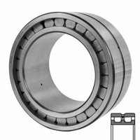 INA SL024830-BR-C3