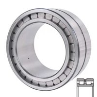 INA SL024960