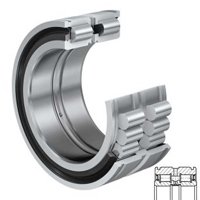 INA SL045010-PP-E55EB