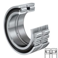 INA SL045016-D-PP-C2