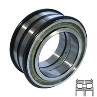INA SL045018-PP-2NR-C3