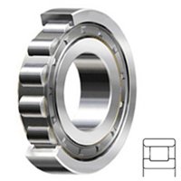 KOYO N309