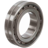 MCGILL 317064000