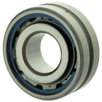 MCGILL 613004000