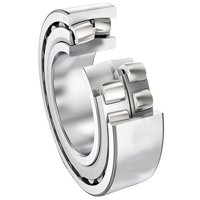 NSK 23218C