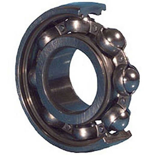 BL313 BL313