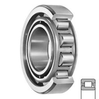 NTN NJ321