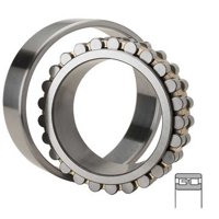 NTN NN3026C2NAP4