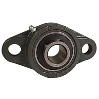 PT INTERNATIONAL UCFL313-65MM