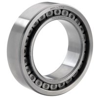 ROLLWAY BEARING 24003919