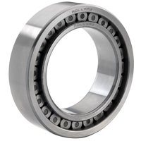 NNCF5013 CV