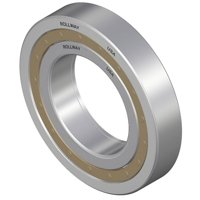 ROLLWAY BEARING 24009329