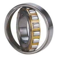 SKF 20305