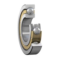 SKF 6213 Y/C782W64