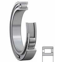 MUS1307-UM