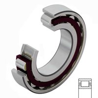 SKF N 313 ECP/C3