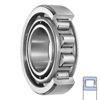 SKF NJ 306 ECJ