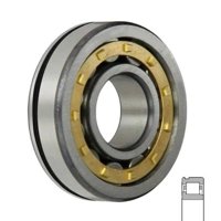 SKF NJ319 ECN2ML/C3