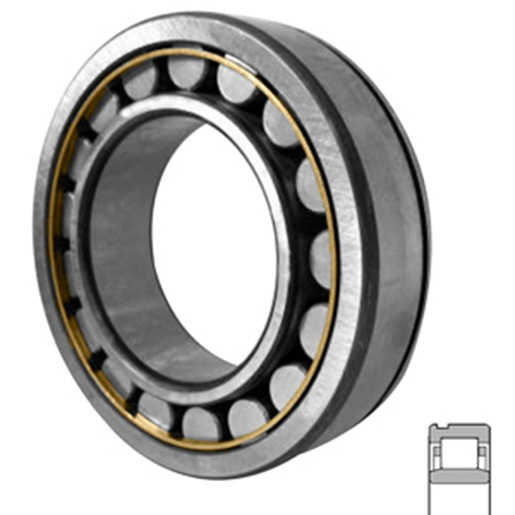 NU220 ECNML/C3B20 NU220 ECNML/C3B20