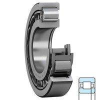 SKF NUP 224 ECJ/C3