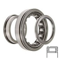SKF NUP309 ECNJ/C3VM004