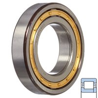SKF NUP 311 ECM