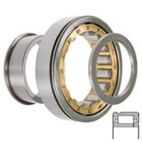SKF NUP311 ECNM/C3VM014